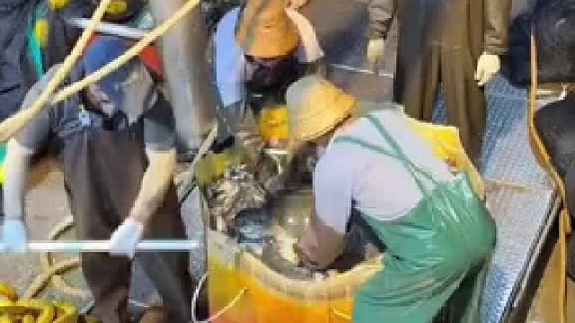 这还算放生吗