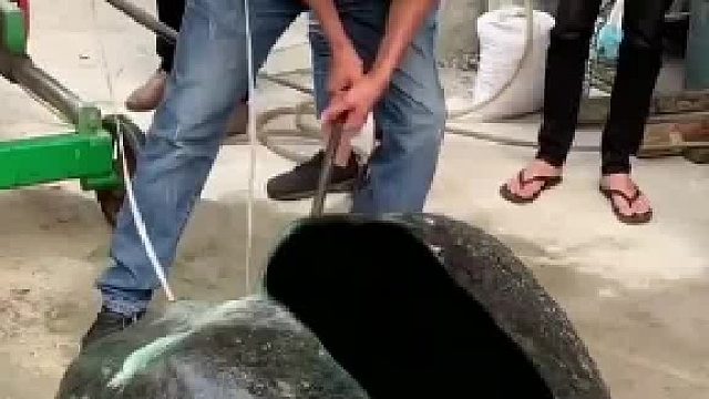 自称“黄jin瞳”，执意花138万拍下原石，一刀切开，世界安静了