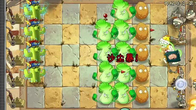植物大战僵尸2第10关