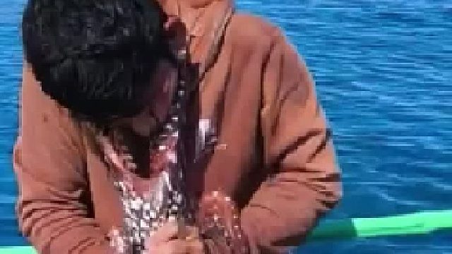 这个是抱抱脸你喜欢吗？