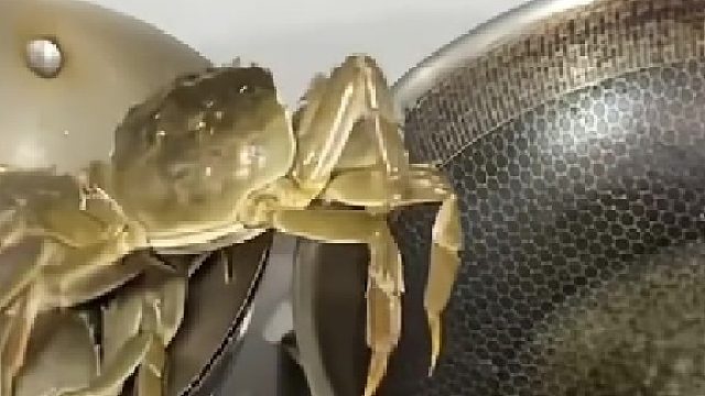 真像极了处于这个社会的我们啊！！