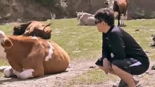 男子故意问了公牛一个问题，牛牛听完直接冲过来顶人​