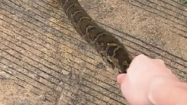 牵手成功