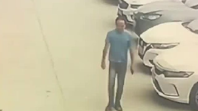 宠物狗每隔一段时间就要故意吓人，得逞后摇着尾巴才离开，狗主人：我都无语了 ，不咬人就吓人 ，怎么整治