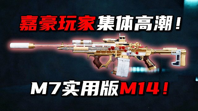 嘉豪玩家集体高潮！M14史诗级加强！三角洲行动