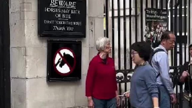 拍照没排队，进了白线被英国骑兵训斥