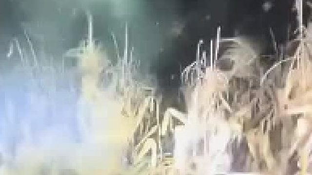 这种人是真不怕死，万一卷到收割机里那都是必死的结局