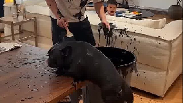 这狗子每天都在惹是生非