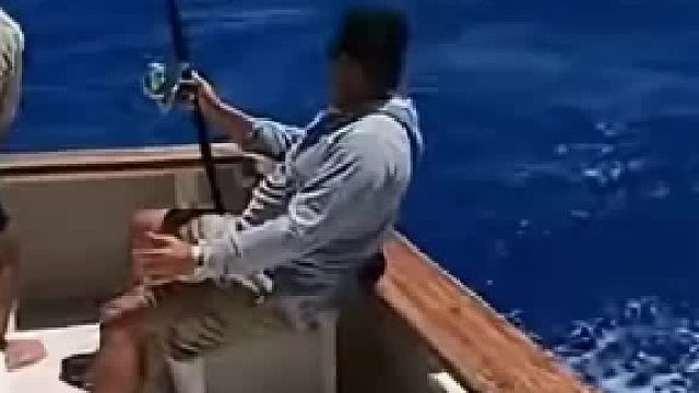 出海遇到了疯鱼群