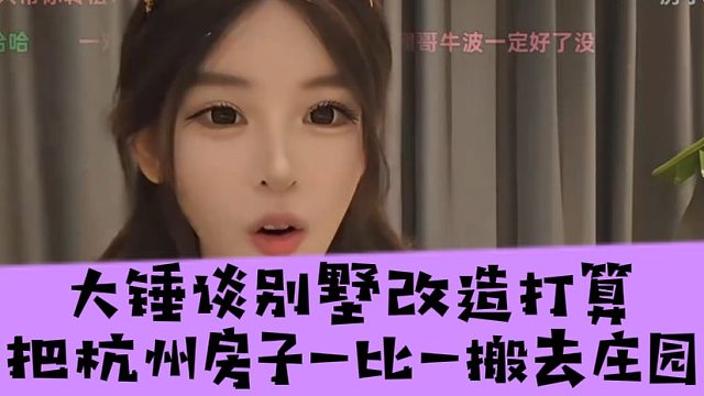 大锤谈别墅改造打算把杭州房子一比一搬去庄园，以后再也不是家徒四壁了