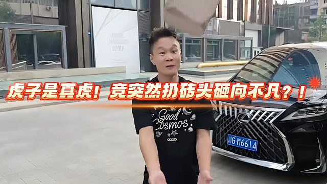 虎子是真虎！竟突然扔砖头砸向不凡？！