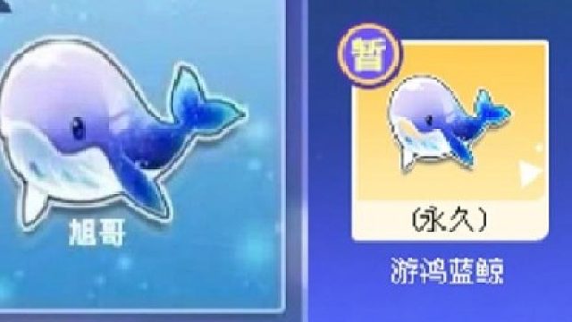 QQ飞车888强怼第一名宠物[游鸿蓝鯨】