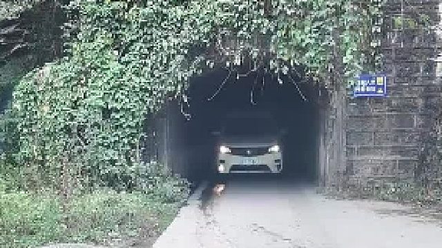 这种路女司机进去，不是直接无解了