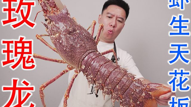 用十几斤的巨大玫瑰龙，做虾生天花板，还有顶级龙虾汤泡饭