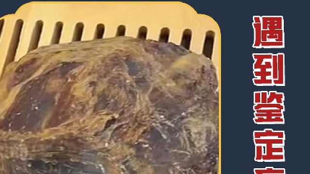 所以说有人知道这个是啥吗？