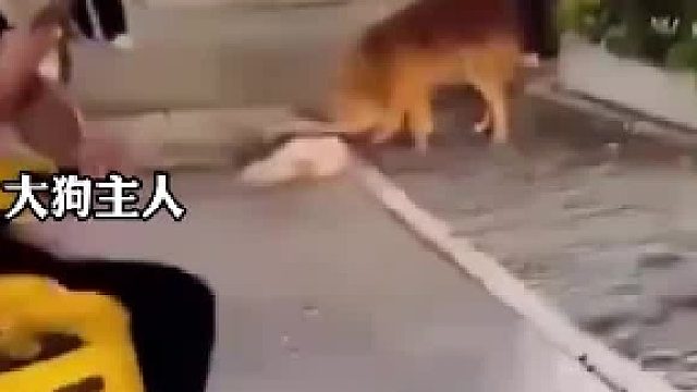 瞬间变成故意伤害罪