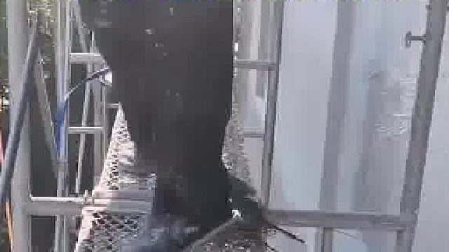 工人搭棚架刷外墙，结果架子上被一只鸟筑巢了