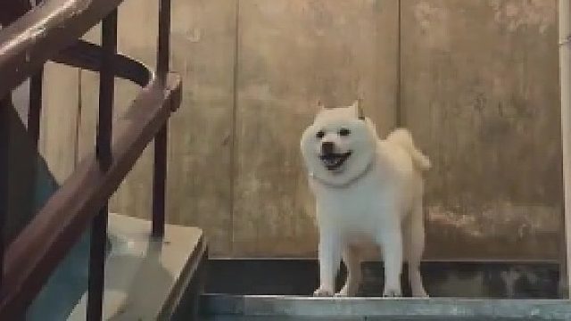 人快跟上