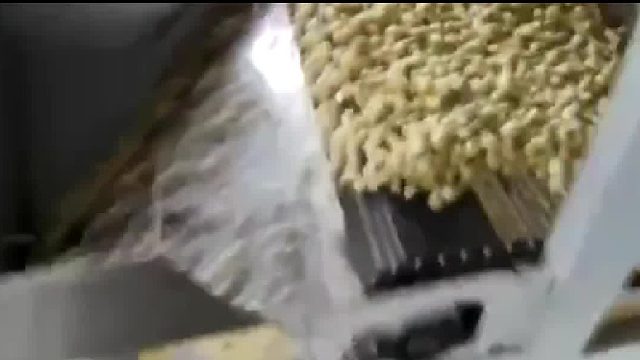 适合狗狗的狗粮才是最好的