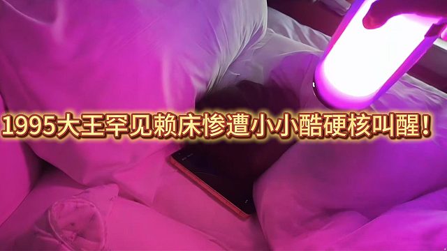1995大王罕见赖床惨遭小小酷硬核叫醒！