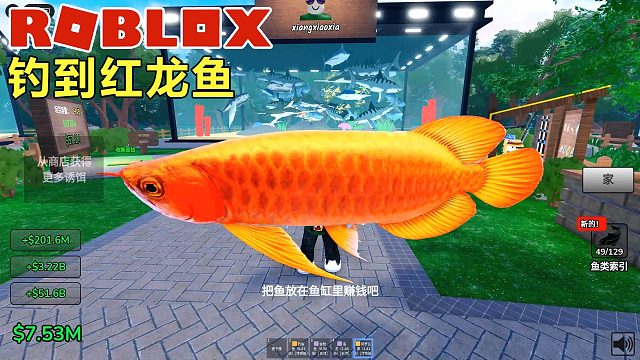 Roblox：钓到虎鲸和红龙鱼，钓鱼佬运气爆棚的一天