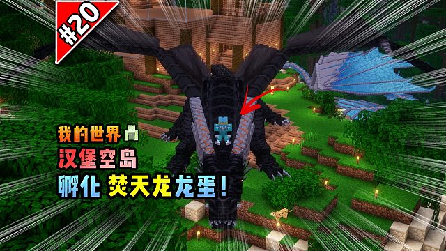 我的世界汉堡空岛：孵化焚天龙龙蛋！