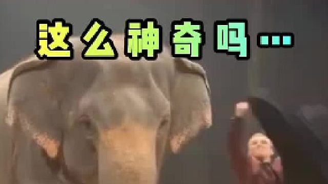 好神奇啊……