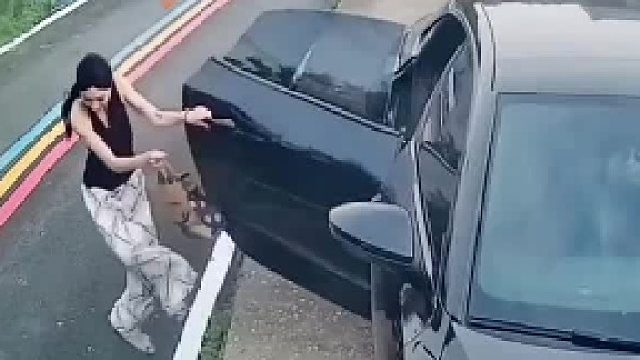 你和狗一样不是么