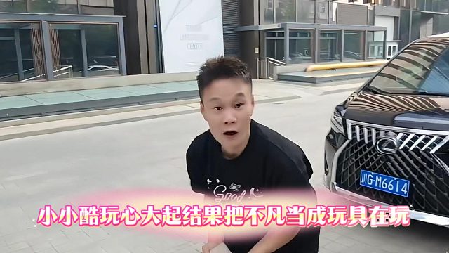 小小酷玩心大起结果把不凡当成玩具在玩