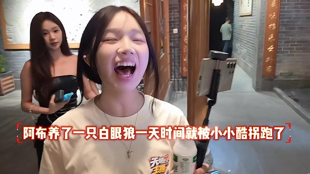 阿布养了一只白眼狼一天时间就被小小酷拐跑了