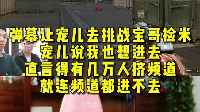 弹幕让宠儿去挑战宝哥捡米，宠儿说我也想进去，直言得有几万人挤频道，就连频道都进不去