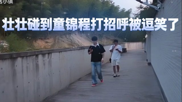 壮壮碰到童锦程打招呼被逗笑了