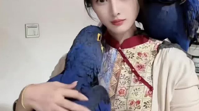 算了，我还是继续养我的皇冠金刚鹦鹉