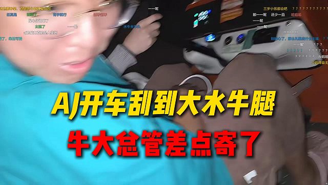 AJ开车刮到大水牛腿，牛大总管差点寄了