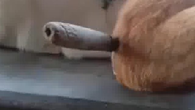 刚开始还以为小猫身体里有东西，走近一看，发现它坐在上面的