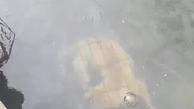 这些人下狠手，太不可理喻了