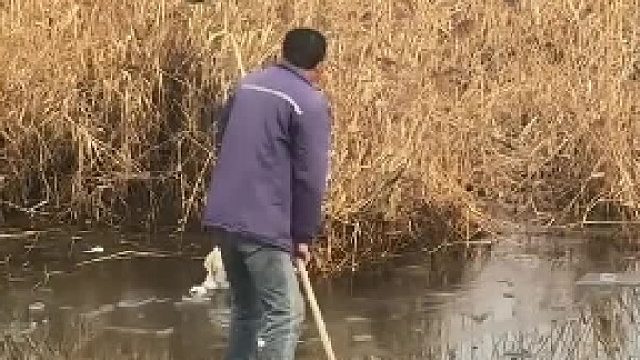 猝不及防