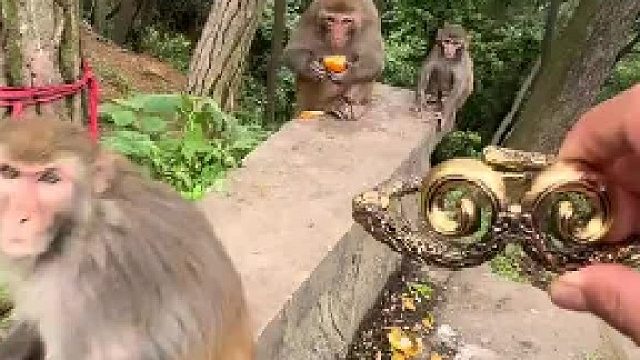 戴上金箍这忧郁感就出来了