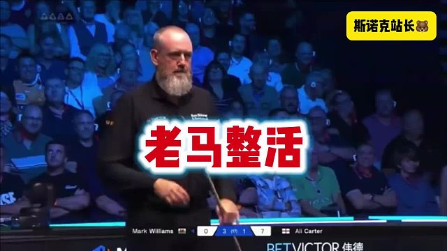 斯诺克英格兰公开赛决赛，突发警报声，老马受惊！ 威廉姆斯滑稽动作，现场观众都乐了～～