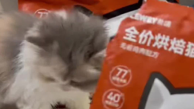 劝告大家避雷！不要再喂这种猫粮