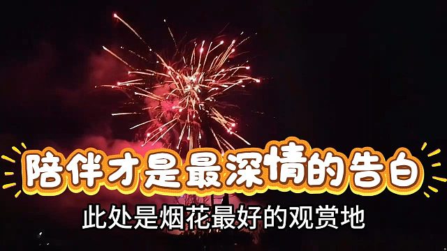 【小小酷】陪伴才是最深情的告白
