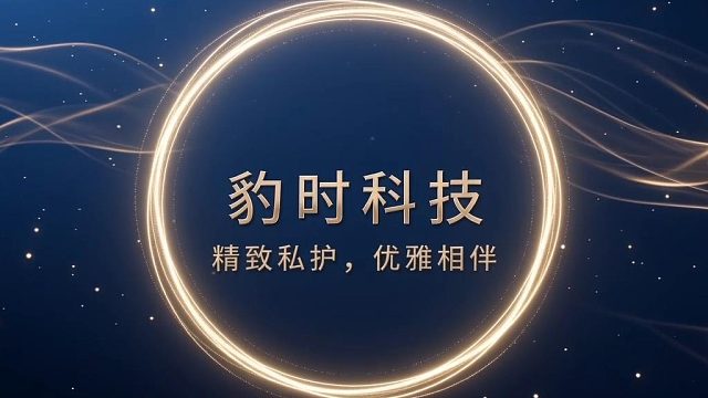 豹时科技