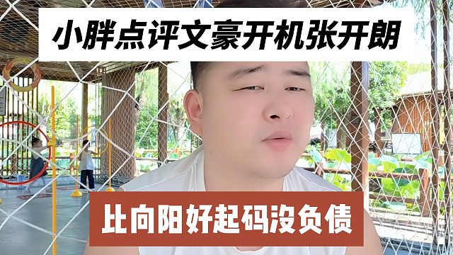 小胖点评文豪开机张开朗，比向阳好起码没负债