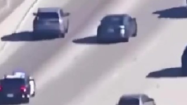 此人智商极高