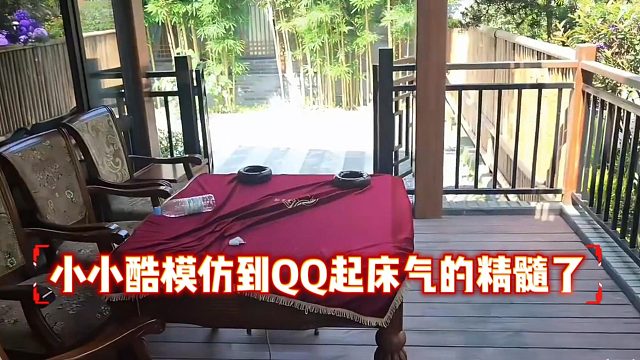 小小酷模仿到QQ起床气的精髓了