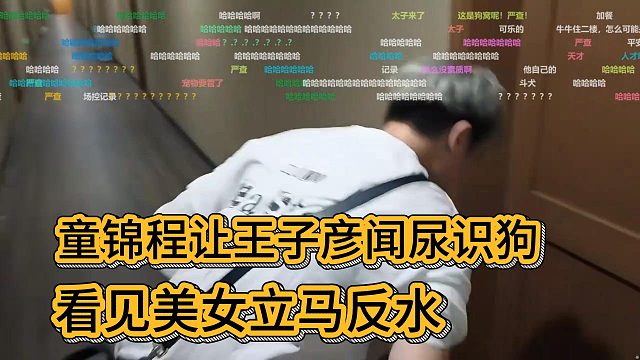 童锦程让王子彦闻尿识狗，看见美女立马反水：是我尿的