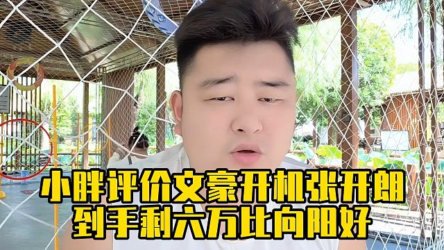 小胖评价文豪开机张开朗，到手剩六万比向阳好