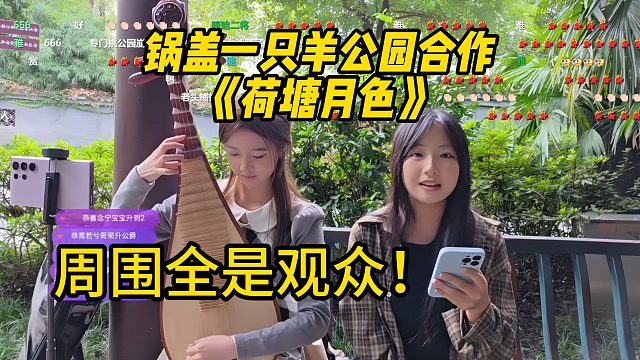 锅盖一只羊公园合作《荷塘月色》！周围全是观众！