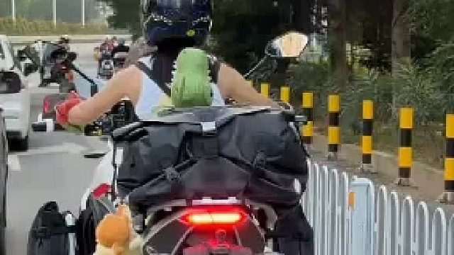 她这个车梯可不能坏了