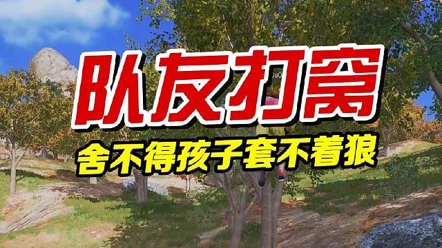 舍不得孩子，套不着狼！